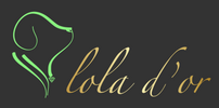 Translation missing: en.Lola d'Or accessibility.home